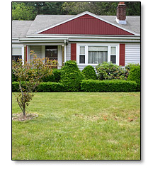 landscaping
